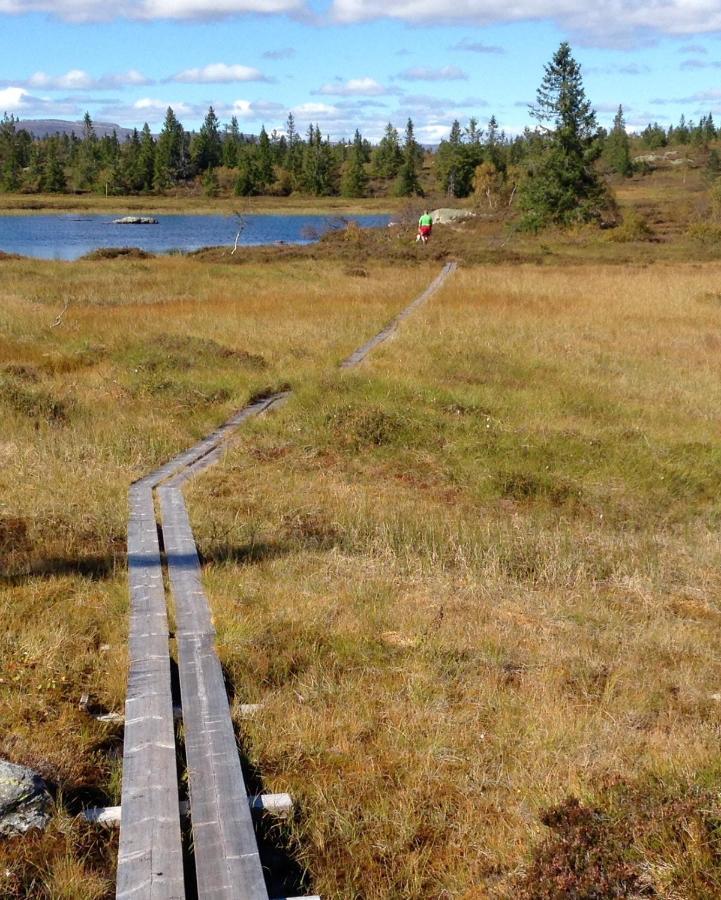 Blefjell Lodge Lampeland Kültér fotó